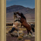 Desert Duel 1