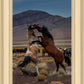 Desert Duel 1