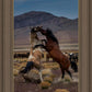 Desert Duel 1