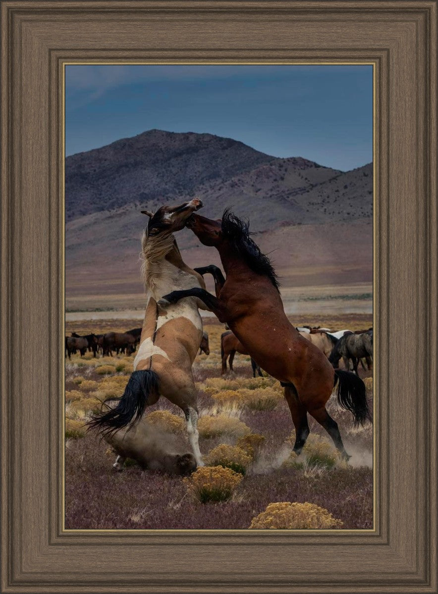 Desert Duel 1
