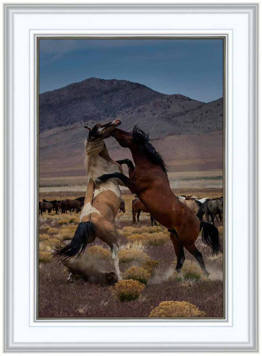 Desert Duel 1