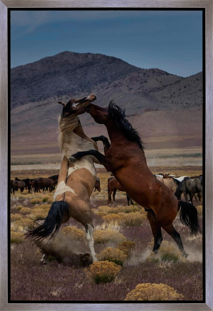Desert Duel 1 Gallery Wrap