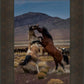 Desert Duel 1