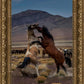 Desert Duel 1
