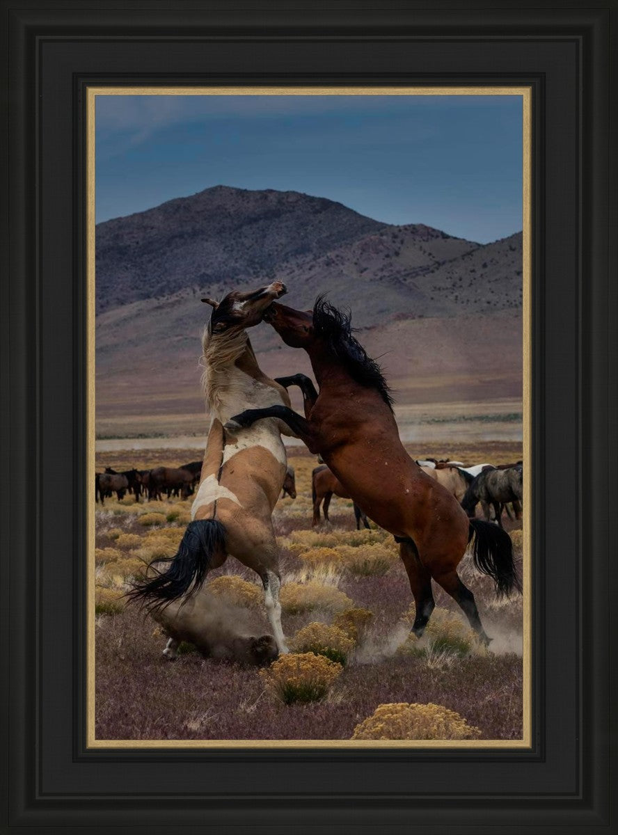 Desert Duel 1