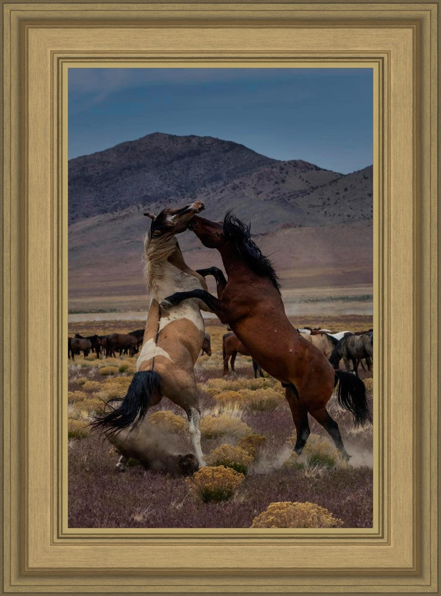 Desert Duel 1