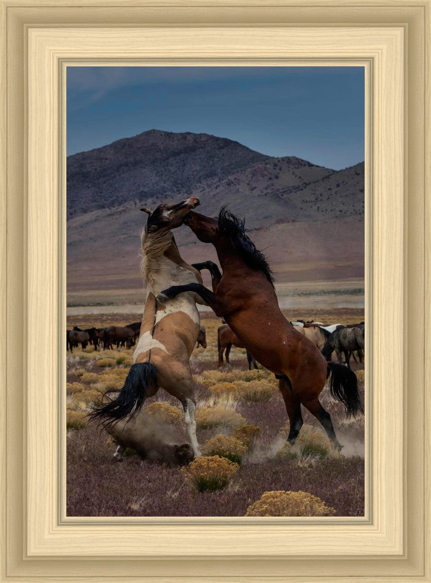 Desert Duel 1