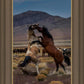 Desert Duel 1