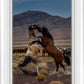 Desert Duel 1