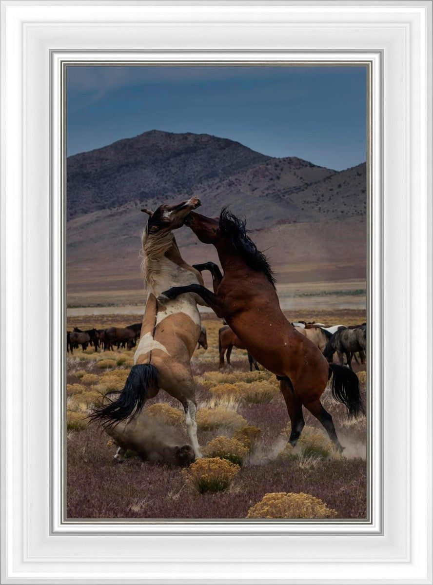 Desert Duel 1
