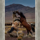 Desert Duel 1