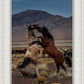 Desert Duel 1