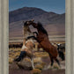 Desert Duel 1