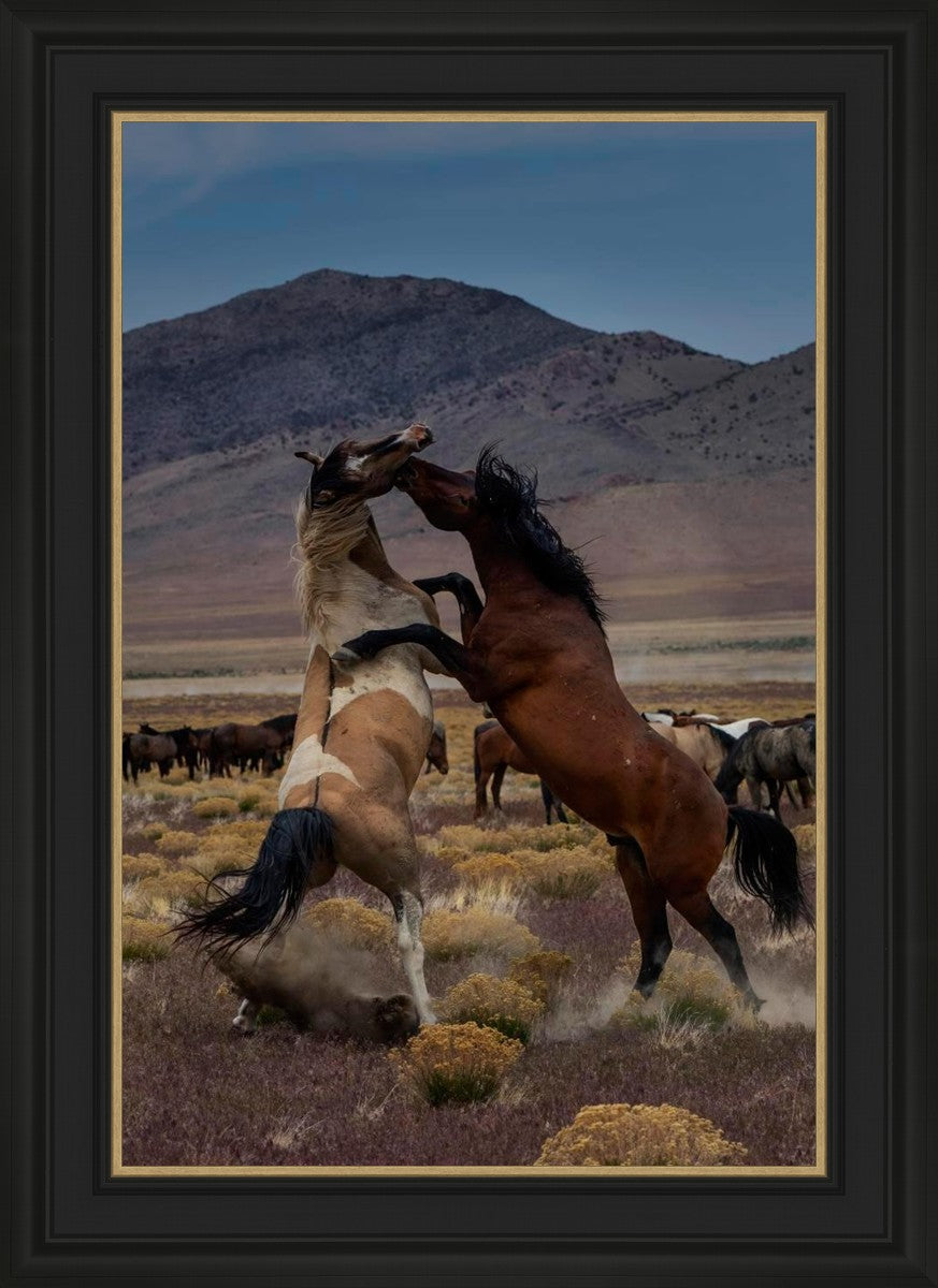 Desert Duel 1