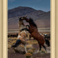 Desert Duel 1