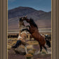 Desert Duel 1
