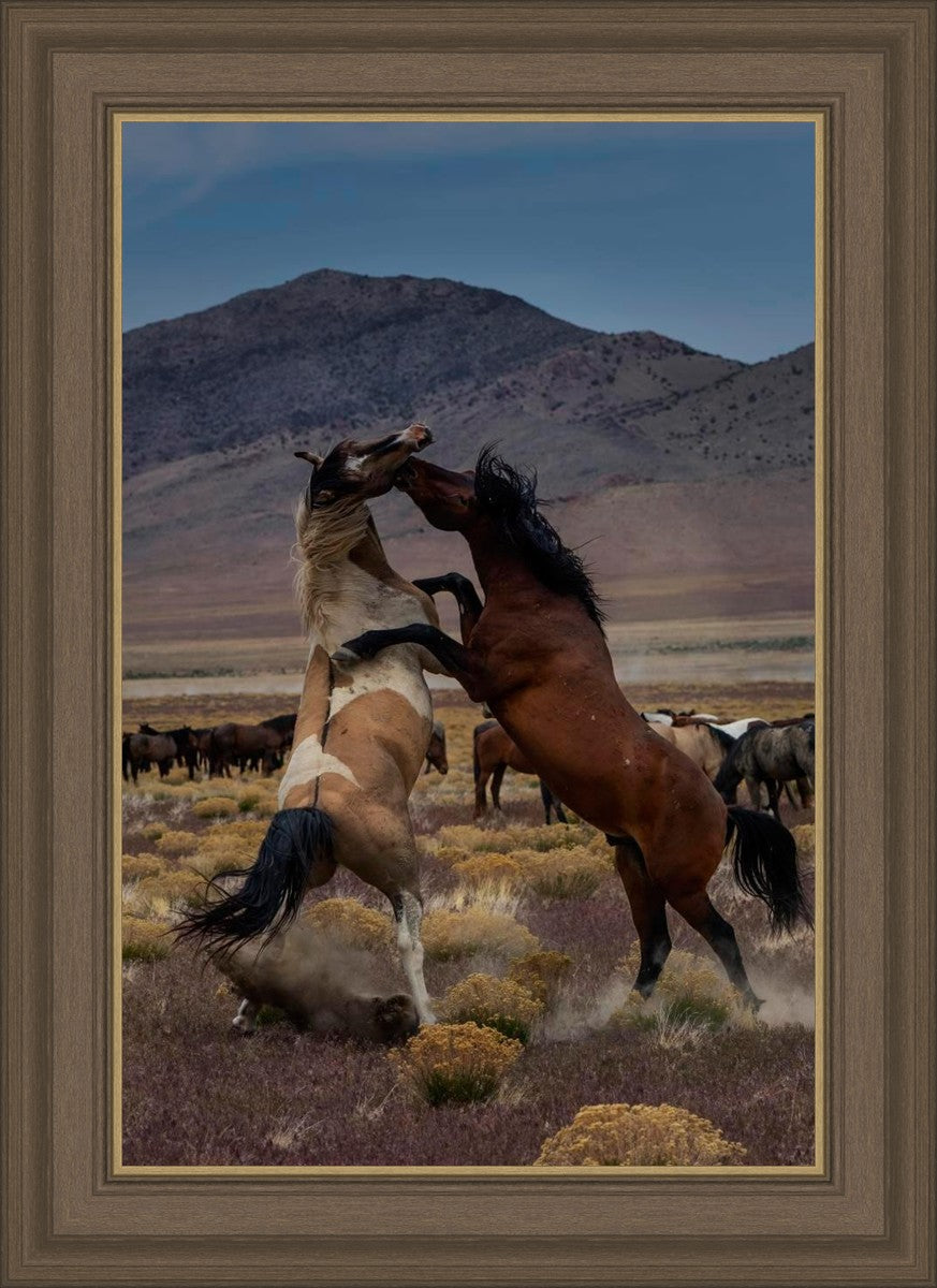 Desert Duel 1