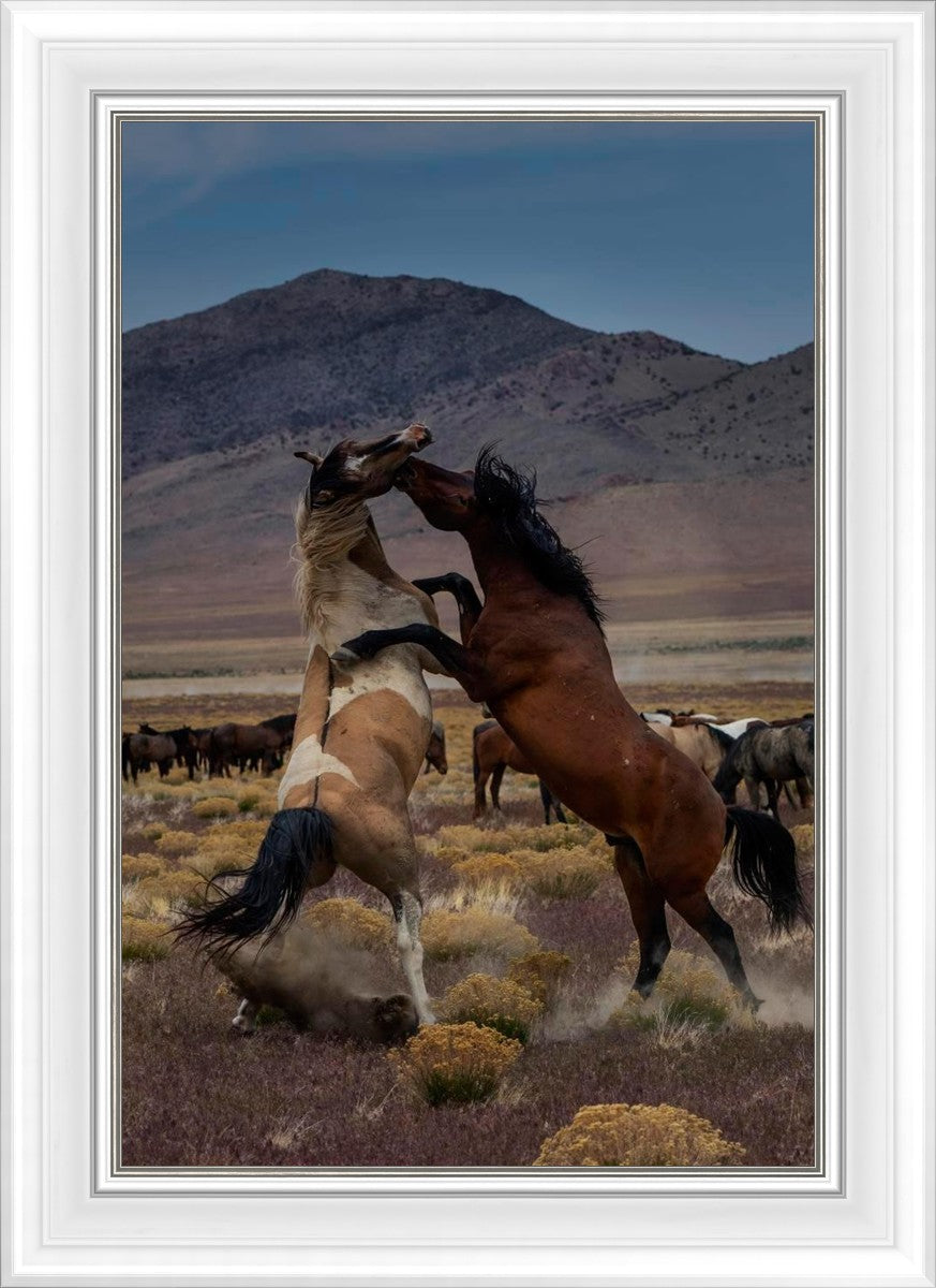 Desert Duel 1