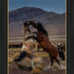 Desert Duel 1