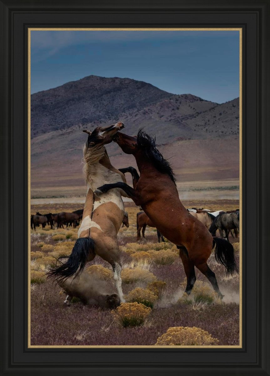 Desert Duel 1