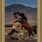 Desert Duel 1