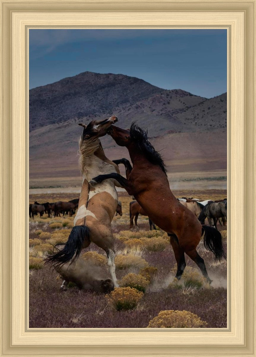 Desert Duel 1