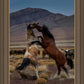 Desert Duel 1
