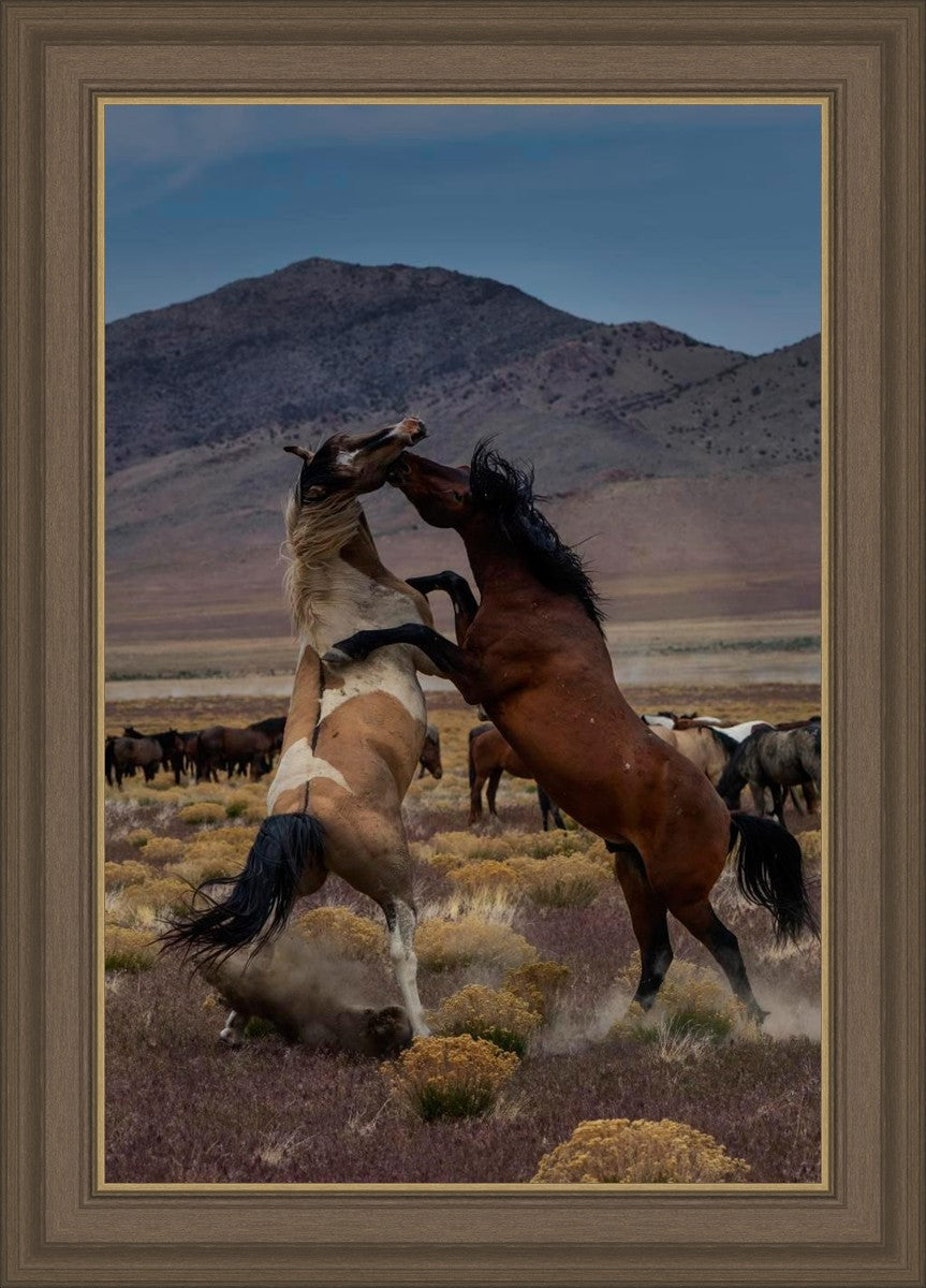 Desert Duel 1