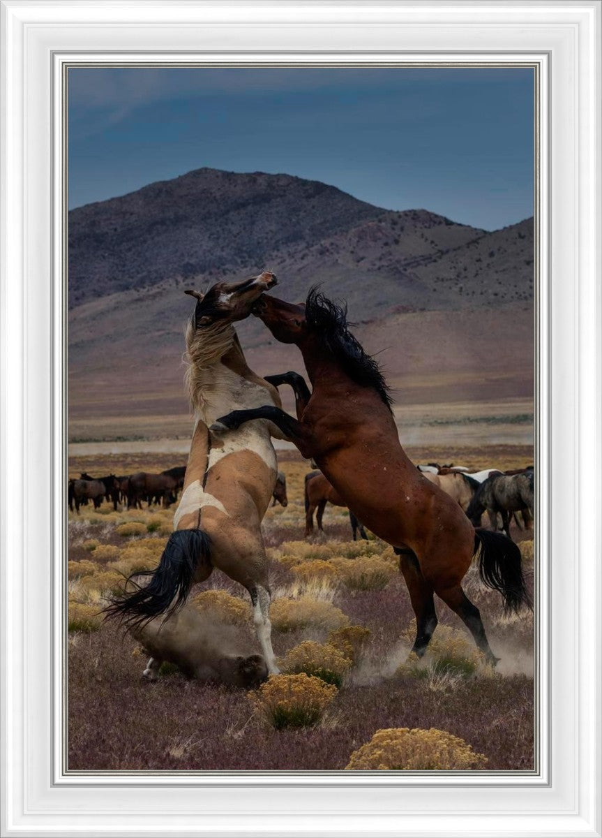Desert Duel 1