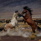 Desert Duel 5