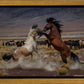 Desert Duel 5