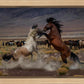 Desert Duel 5