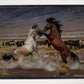 Desert Duel 5