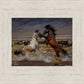 Desert Duel 5