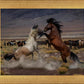 Desert Duel 5