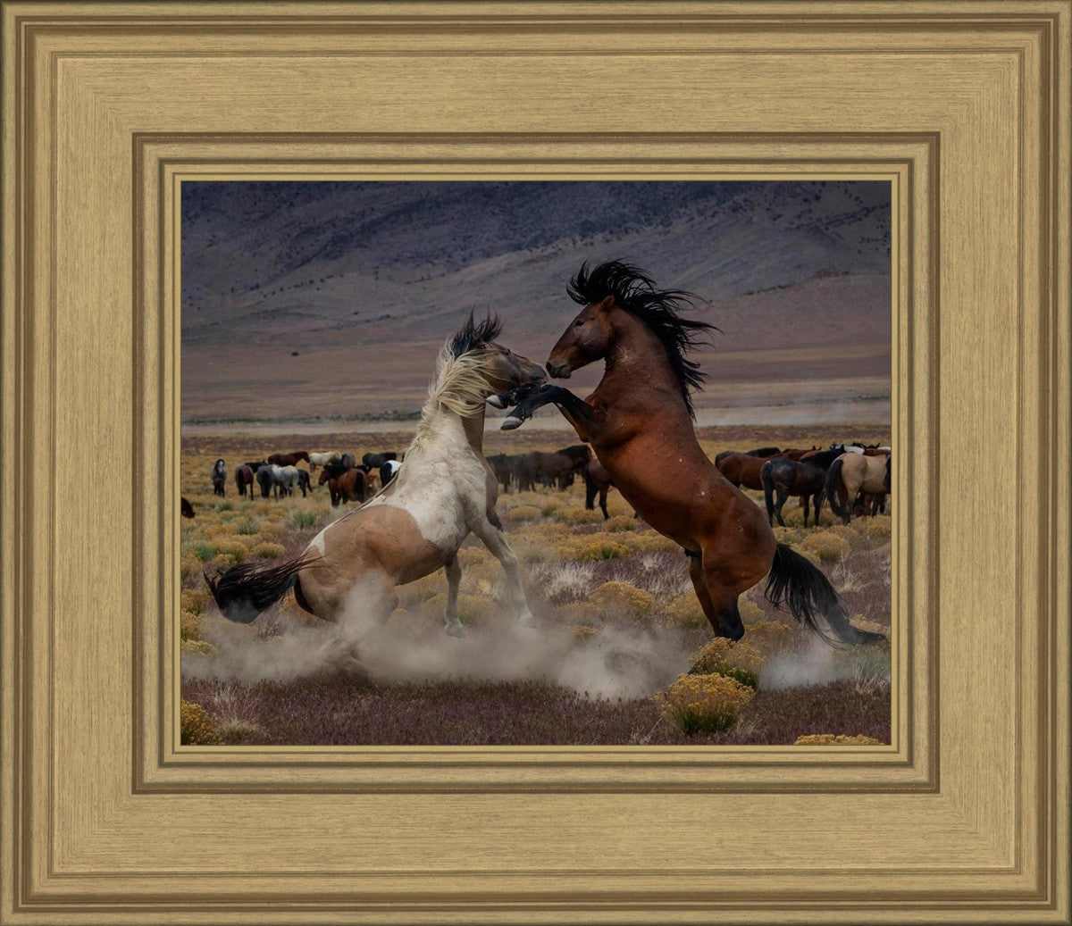 Desert Duel 5