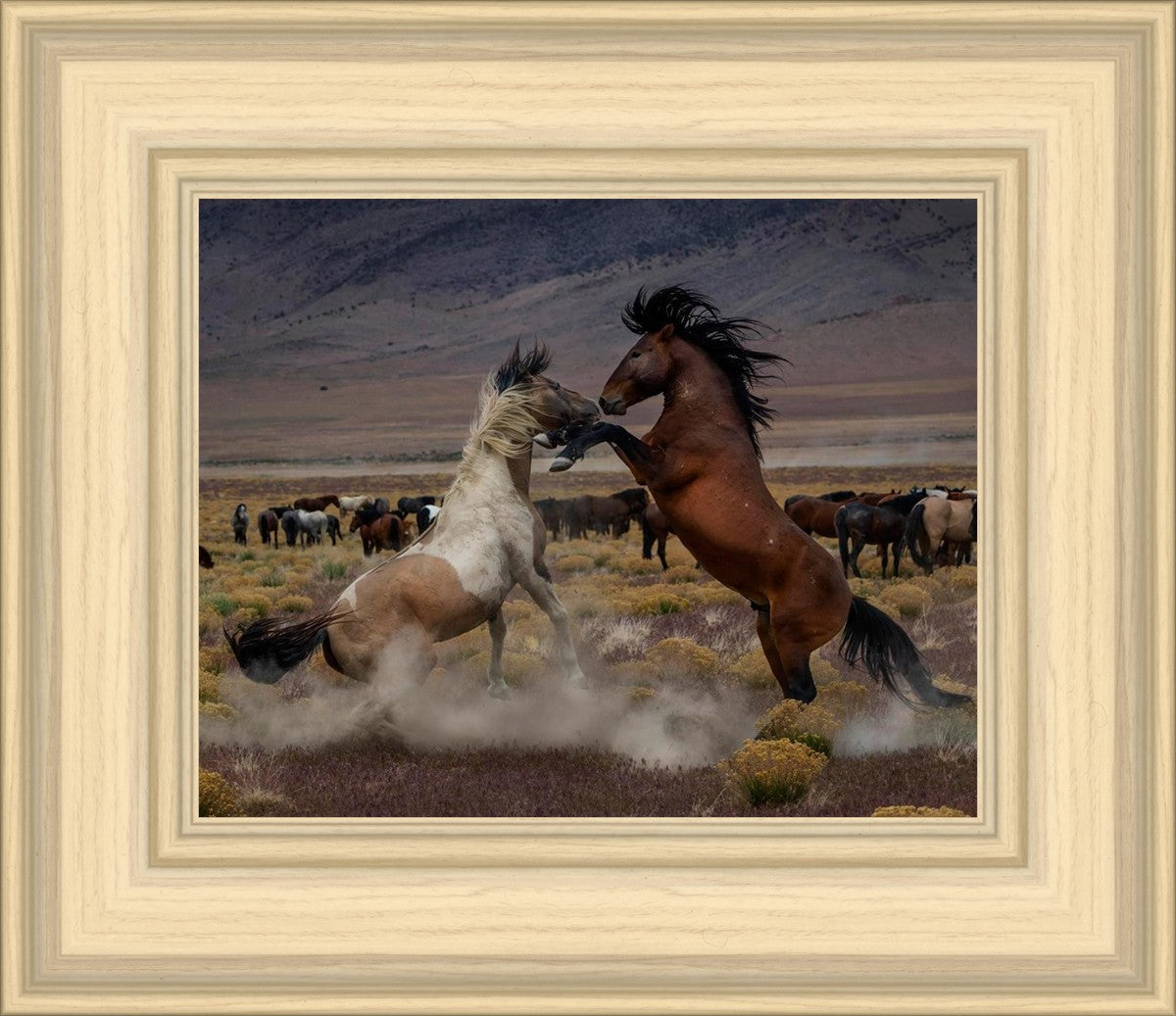 Desert Duel 5