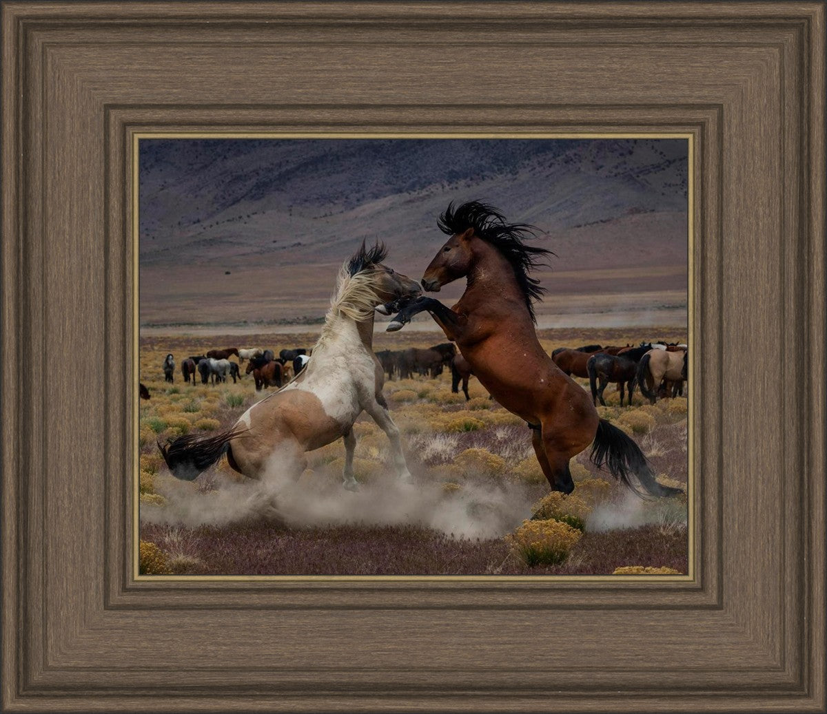 Desert Duel 5