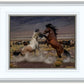 Desert Duel 5