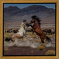 Desert Duel 5