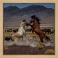 Desert Duel 5