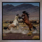 Desert Duel 5