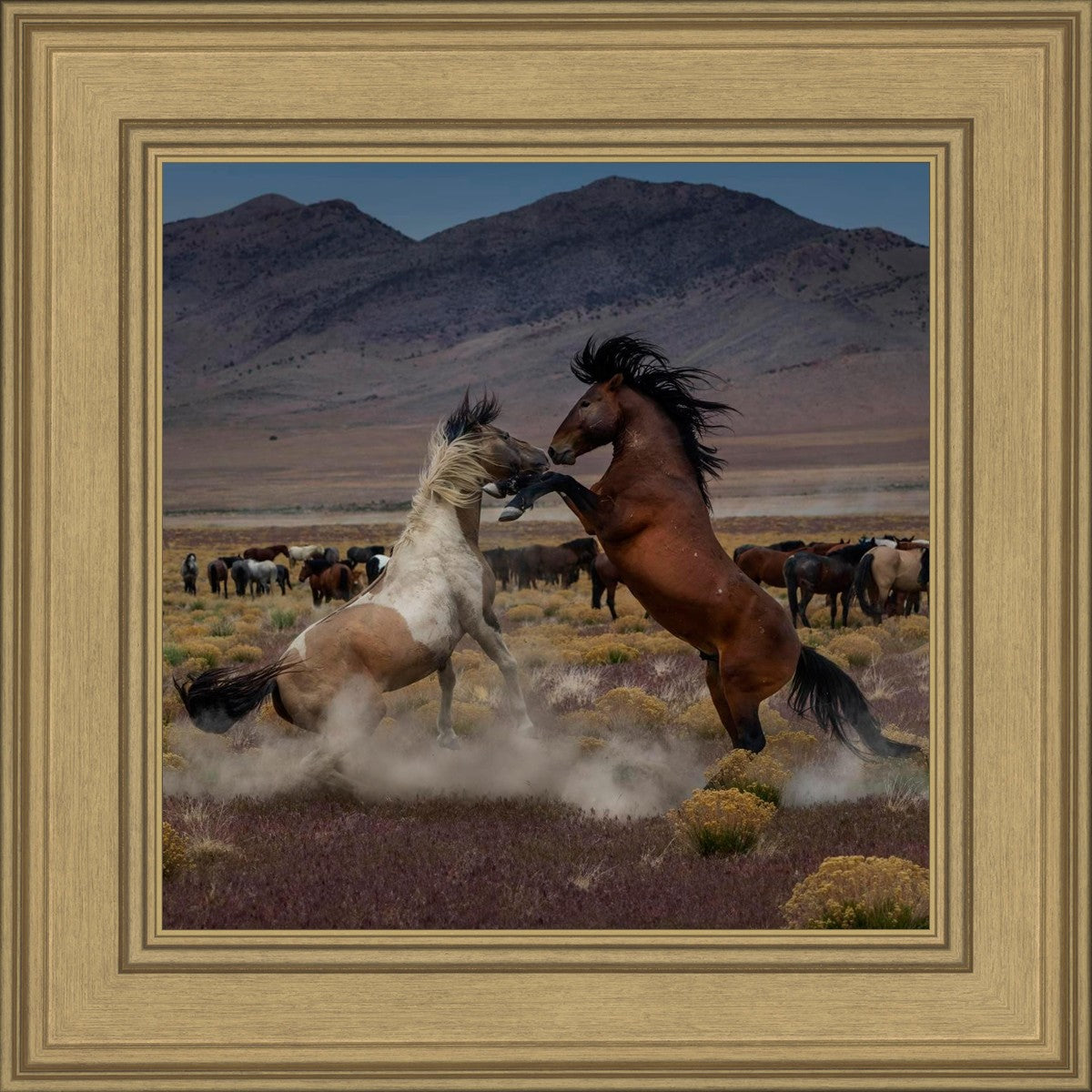 Desert Duel 5