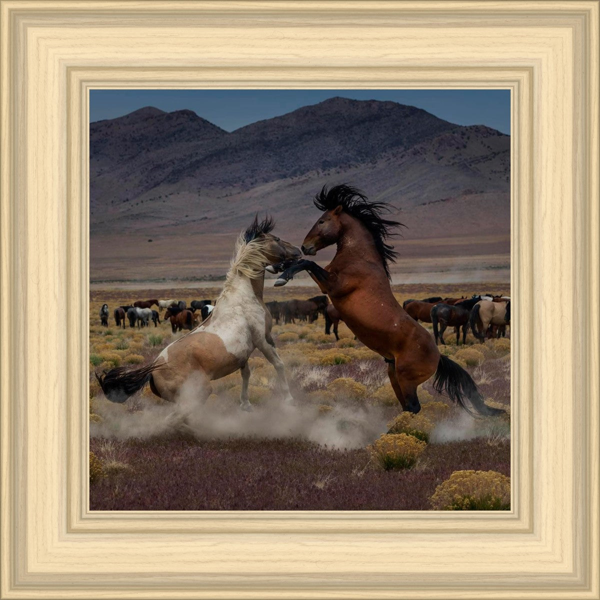 Desert Duel 5