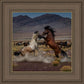 Desert Duel 5