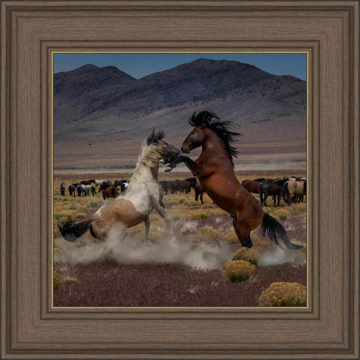 Desert Duel 5