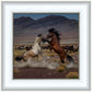 Desert Duel 5