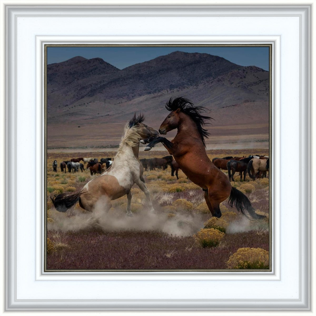 Desert Duel 5