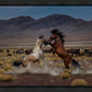 Desert Duel 5
