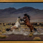 Desert Duel 5